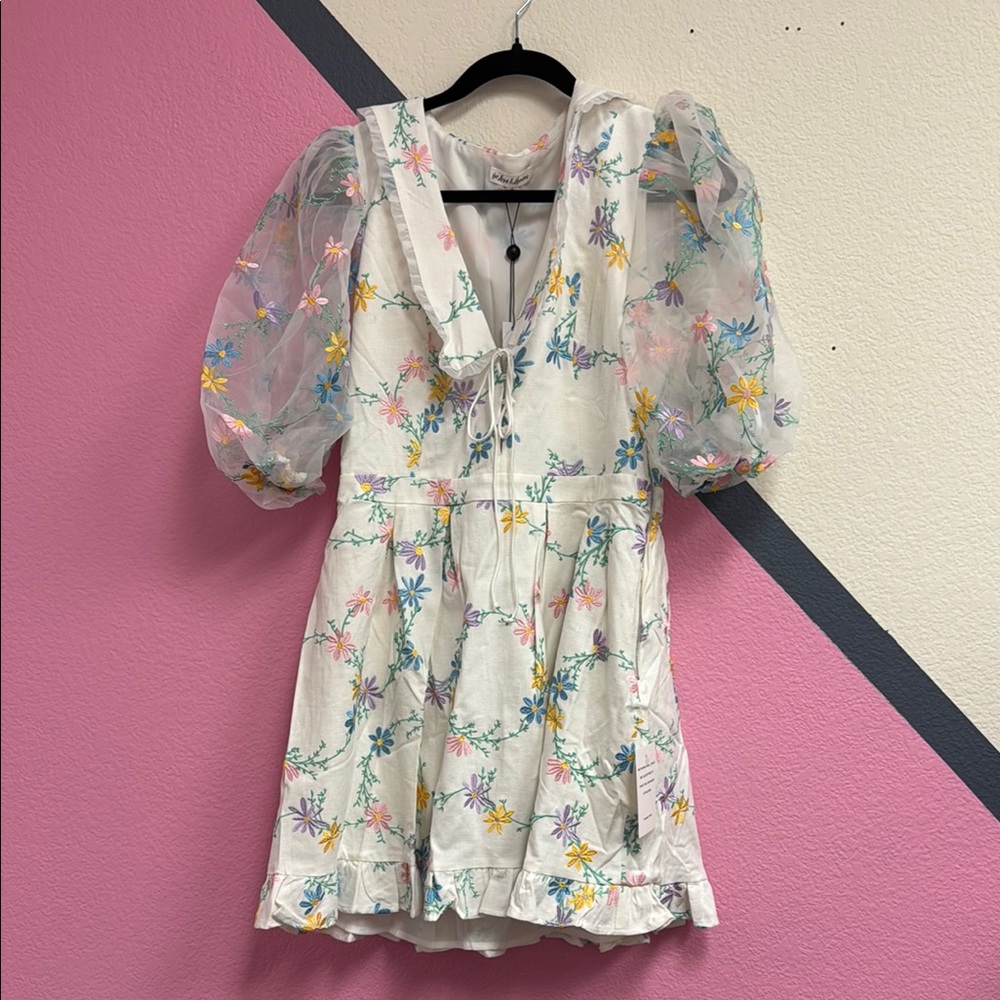 Floral Embroidered Dress with Sheer Sleeves